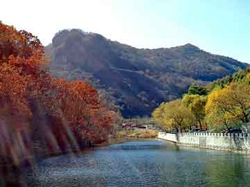 澳门二四六天天彩图库，宠物小精灵之旅